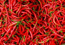 Kota Bengkulu Alami Deflasi 0,24% pada Mei 2025, Ini Penyumbang Utamanya