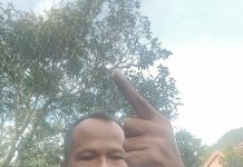 PT Tunas Rimba Raya Diduga Serobot Ratusan Hektar Lahan Transmigrasi di Pasaman Barat