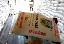 GARIS Ungkap Dugaan Mafia Pupuk Subsidi Libatkan Oknum Aparat di Bengkulu